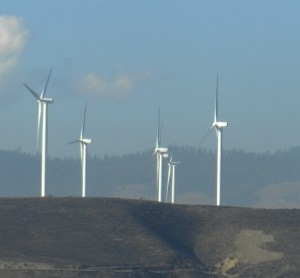 Wind Farm Burned