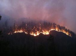 Across from Wright's Cabin on June 10. (courtesy inciweb)