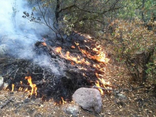 Backing Fire on June 10. (Courtesy inciweb)