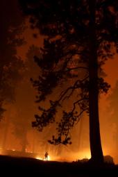 Photo by Kristen Honig/nciweb