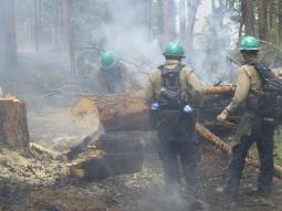 Firefighters sawing. (Courtesy of inciweb)