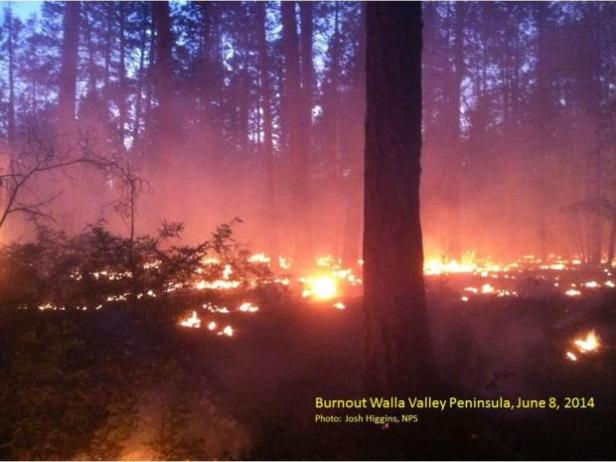 Burnout Walla Valley Pennisula - June 8, 2014 [Photo Credit: inciweb]