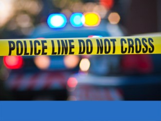 Featured Image -- 8433