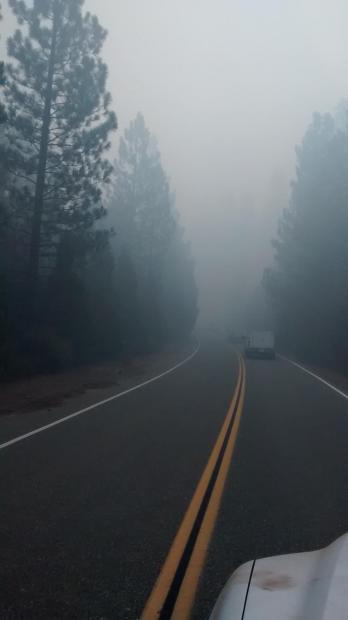 Conditions seen on the roadway