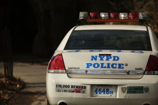 Featured Image -- 8699