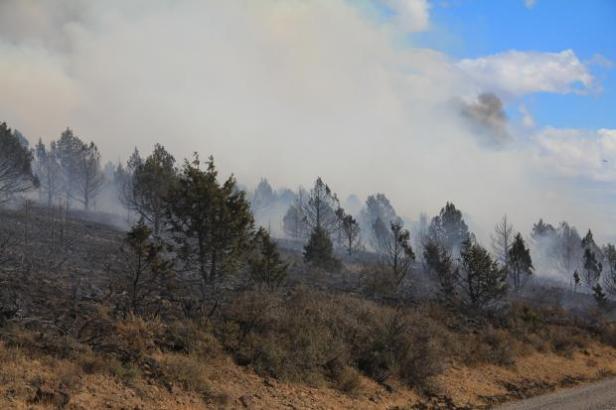 Photo Credit:  T Mountz [via inciweb]