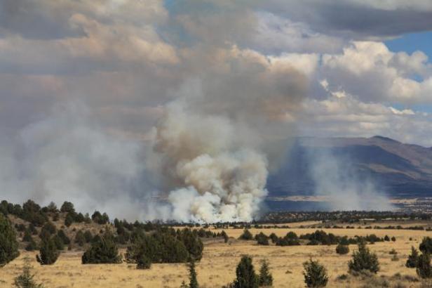 Photo Credit: T Mountz [via inciweb]