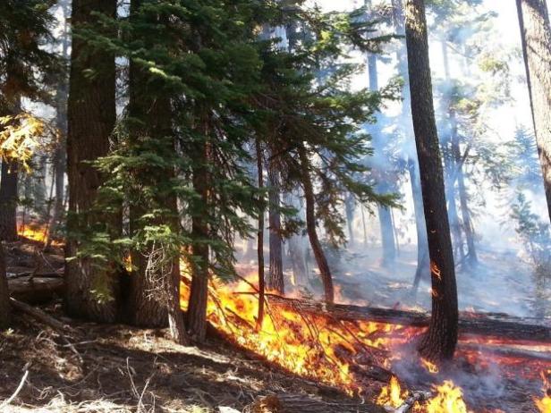 Photo Credit: April Deming, NPS