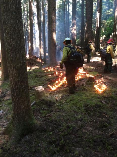 Another look at Firefighters conducting Burnout operations [Photo Credit: 36PitFire IMT]