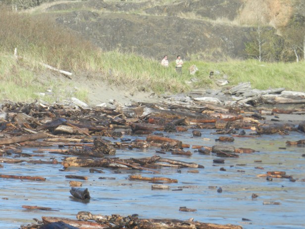 Bowers Field 8-9-2014 809