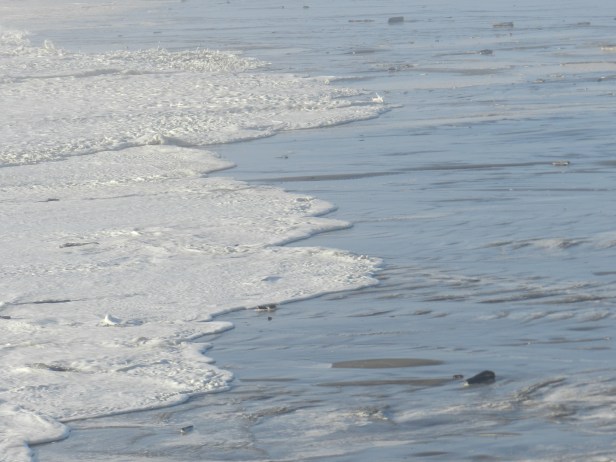 Bowers Field 8-9-2014 837