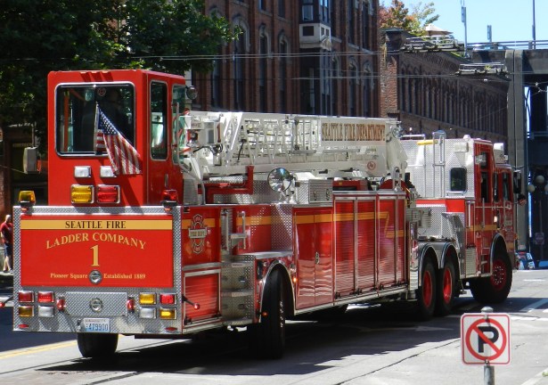 Fire Festival, SFD L1, Rear