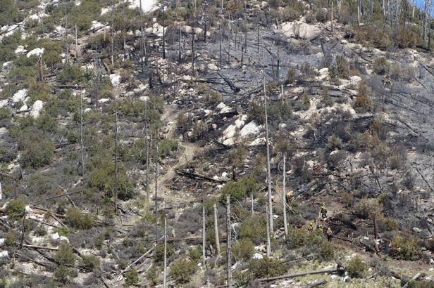 Photo Courtesy | Coronado NF