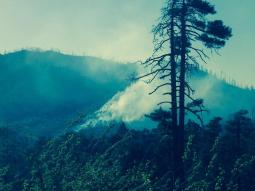 Photo Courtesy | @inciweb