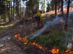 School Point Prescribed Fire | Courtesy: @inciweb