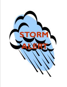 STORM ALERT