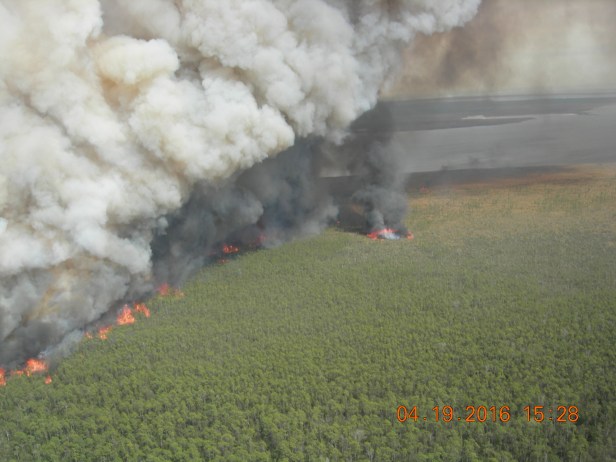 Photo Courtesy: NC Forest Service