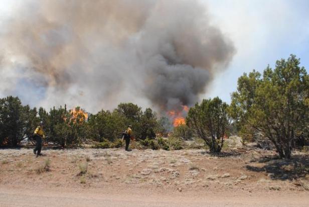 Bert Fire 3 by Kaitlin Webb USFS