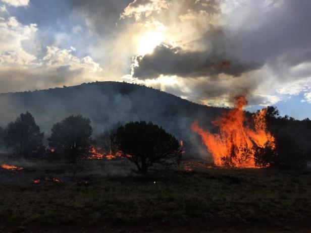 Bert Fire by A Gonzales USFS