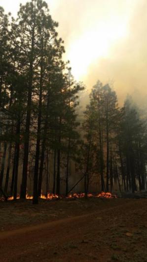 Jack Fire (Credit: King, Summit FD)