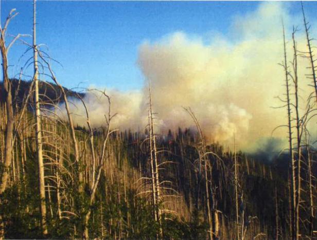 Pony Fire (Courtesy: Inciweb)