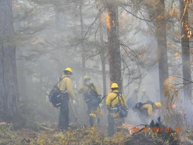 Blue Top Fire (Courtesy:  Inciweb)