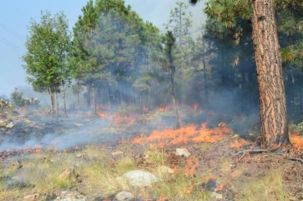 #FireImage Courtesy of Inciweb