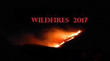 blog header wildfires