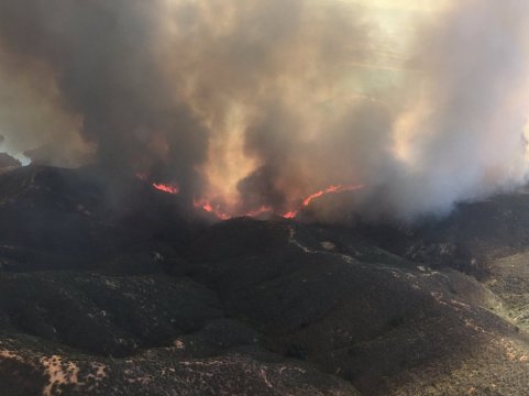 Photo Credit:  Angeles NF