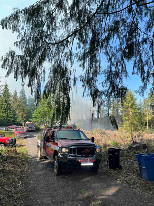 OR Wildfire | Forest Park Fire | 1 – NW Fire Blog