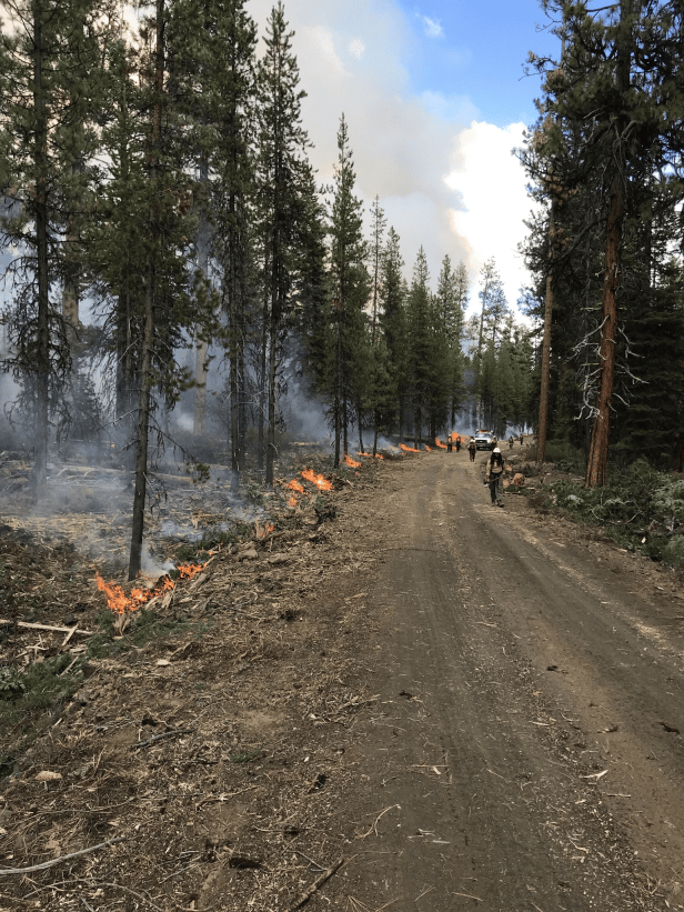 Bachelor Complex | OR | September 21, 2024 – NW Fire Blog